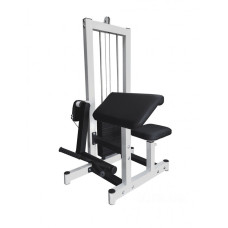 Фитнес станция RN-Sport Imperium bic-mashine